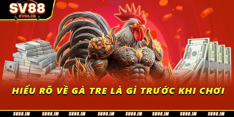 Gà Tre Đá Giải - Đặc Điểm Và Những Giải Đấu Được Quan Tâm 1 Hiểu rõ về gà tre là gì trước khi chơi