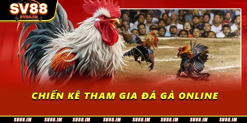 Luật Đá Gà Online - Quy Tắc Cơ Bản Và Những Điều Cần Lưu Ý 2 Chiến kê tham gia đá gà online