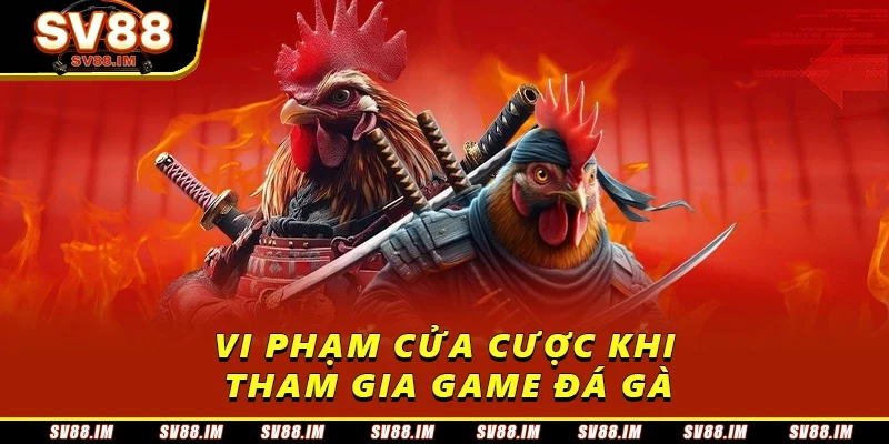 Luật Đá Gà Online - Quy Tắc Cơ Bản Và Những Điều Cần Lưu Ý 3 Vi phạm cửa cược khi tham gia game đá gà