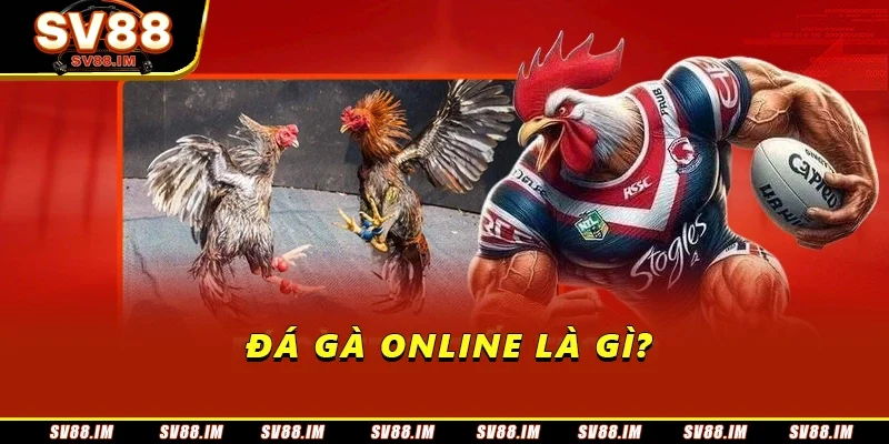 Luật Đá Gà Online - Quy Tắc Cơ Bản Và Những Điều Cần Lưu Ý 1 Đá gà online là gì?