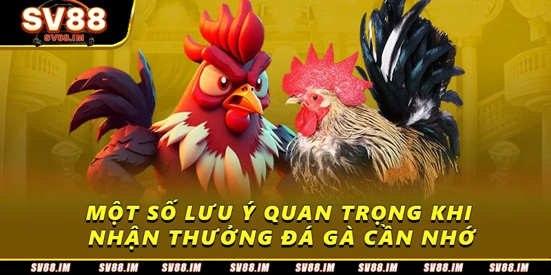 Hướng Dẫn Nhận Thưởng Đá Gà Thắng Liên Tiếp Tại SV88 4 Một số lưu ý quan trọng khi nhận thưởng đá gà cần nhớ