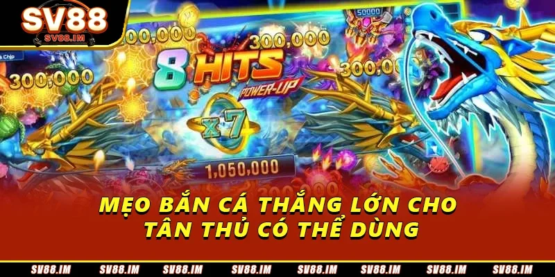 Bắn Cá Long Vương - Săn Thưởng Đỉnh Cao, Hấp Dẫn Mọi Người 4 Mẹo bắn cá thắng lớn cho tân thủ có thể dùng
