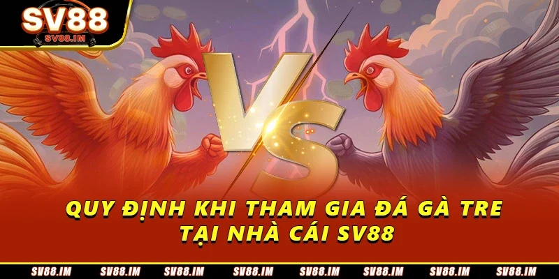 Đá Gà Tre - Tìm Hiểu Về Trải Nghiệm Tại Sân Chơi Siêu Hot 2 Quy định khi tham gia đá gà tre tại nhà cái SV88