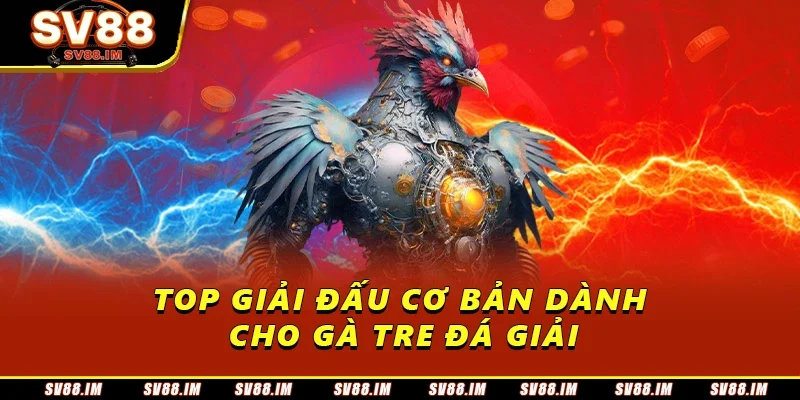 Gà Tre Đá Giải - Đặc Điểm Và Những Giải Đấu Được Quan Tâm 4 Top giải đấu cơ bản dành cho gà tre đá giải