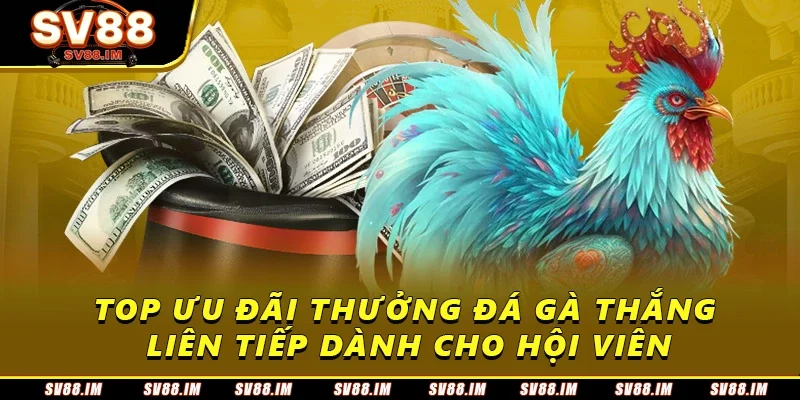 Hướng Dẫn Nhận Thưởng Đá Gà Thắng Liên Tiếp Tại SV88 2 Top ưu đãi thưởng đá gà thắng liên tiếp dành cho hội viên