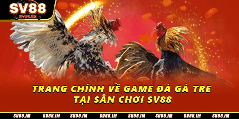 Đá Gà Tre - Tìm Hiểu Về Trải Nghiệm Tại Sân Chơi Siêu Hot 3 Trang chính về game đá gà tre tại sân chơi SV88